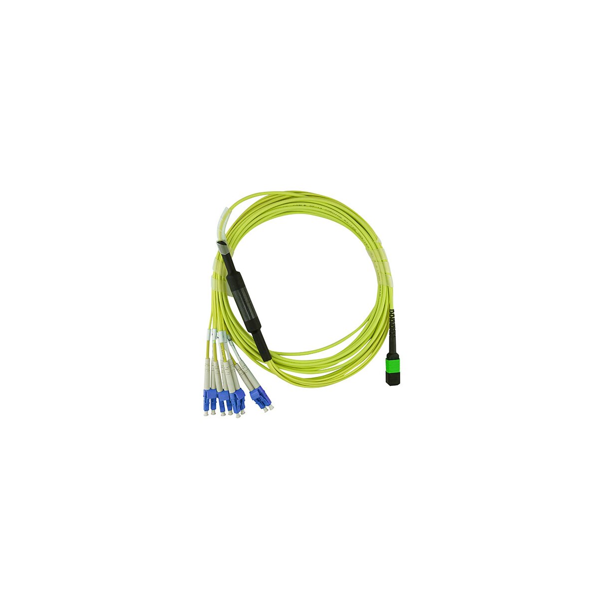 cb6ab358c8ee704bdbf1084f0e31e3b8
