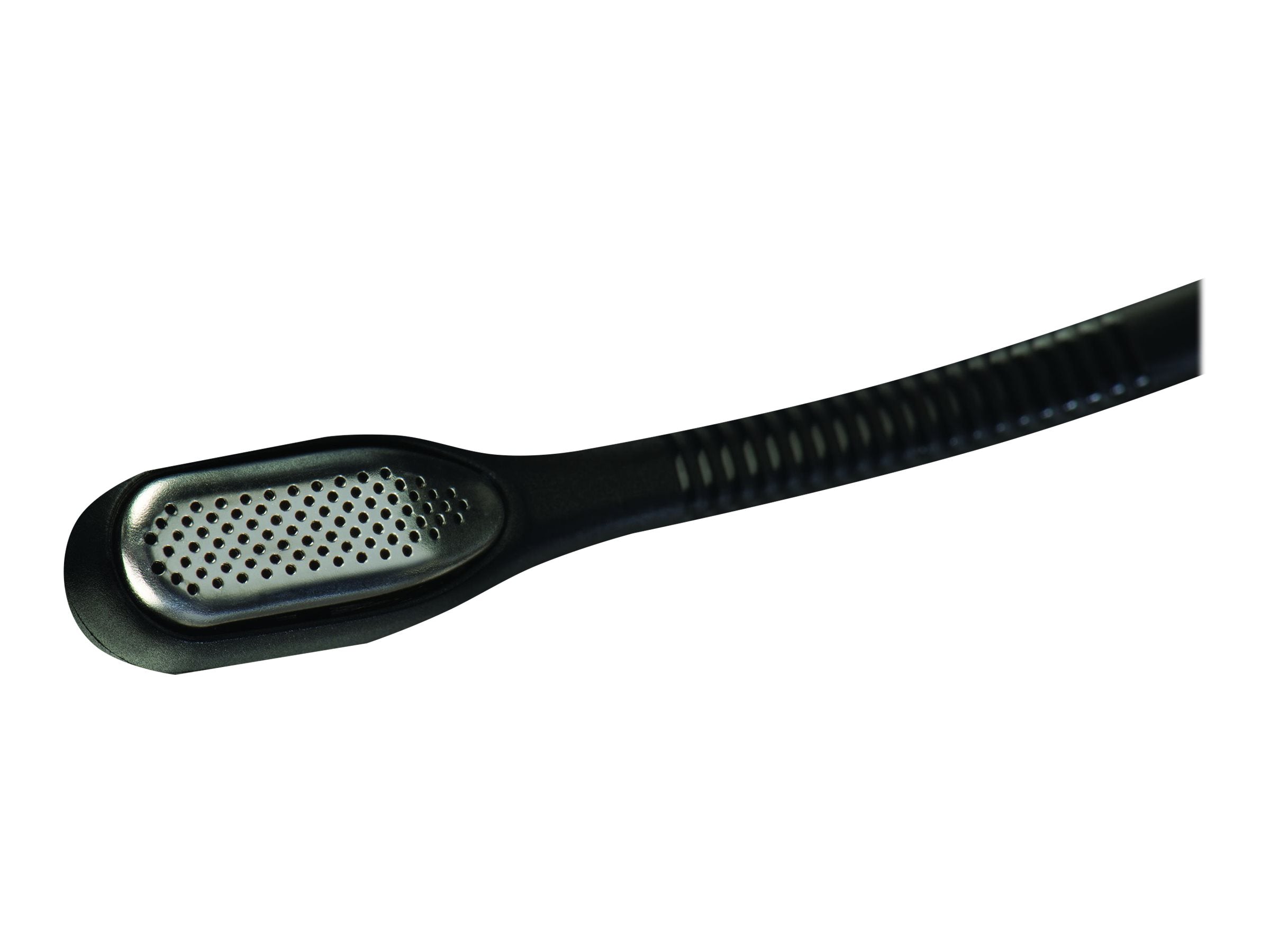 Image2