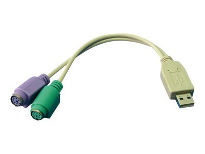Image1