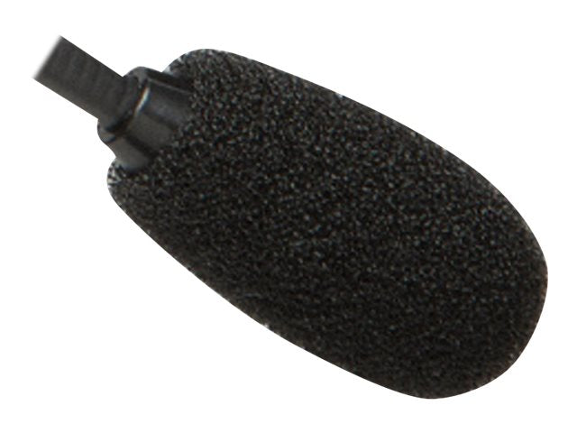 Image2