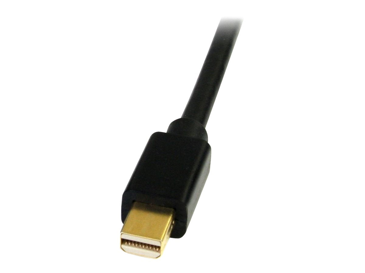 Image3