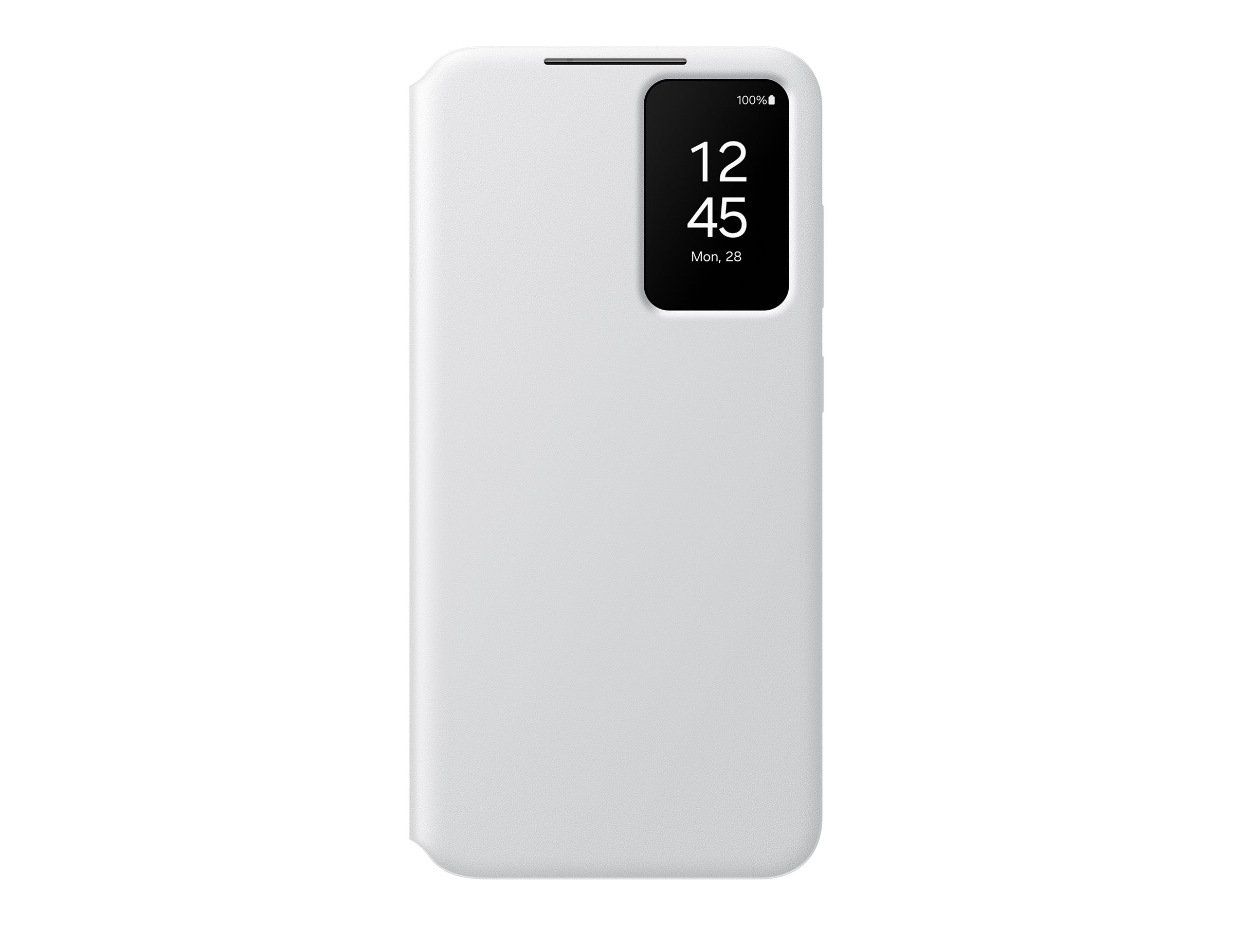 Image1
