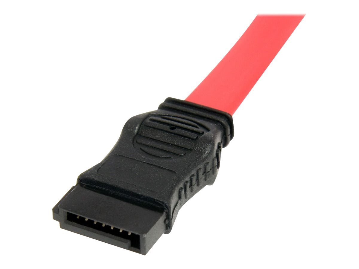 Image1