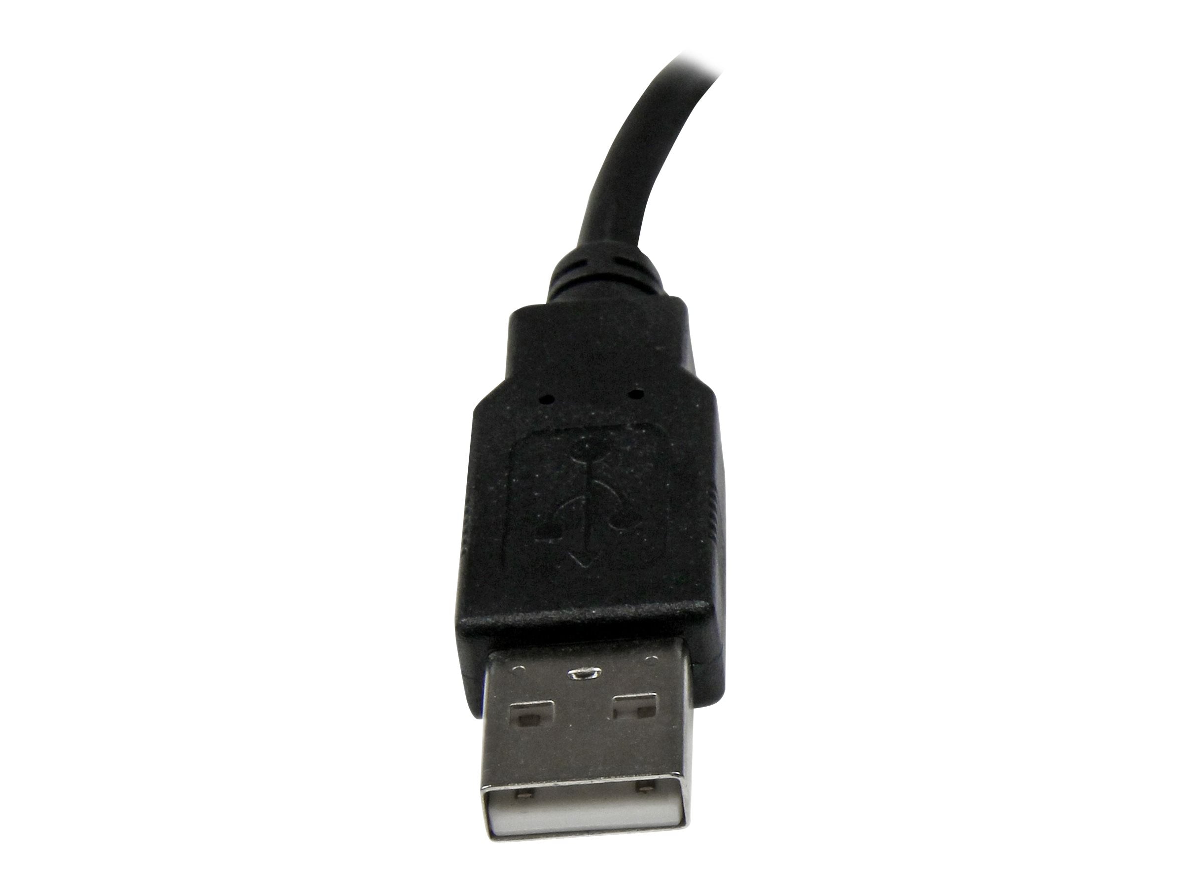 Image1