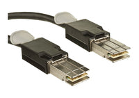 Image1
