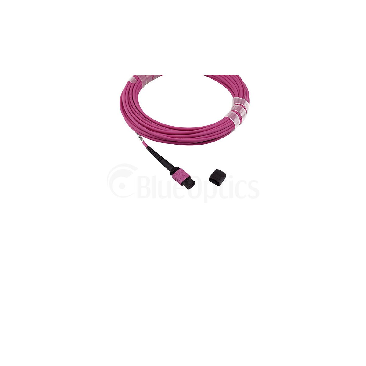 cf5387a961fdaec9146d9d46e61c009c