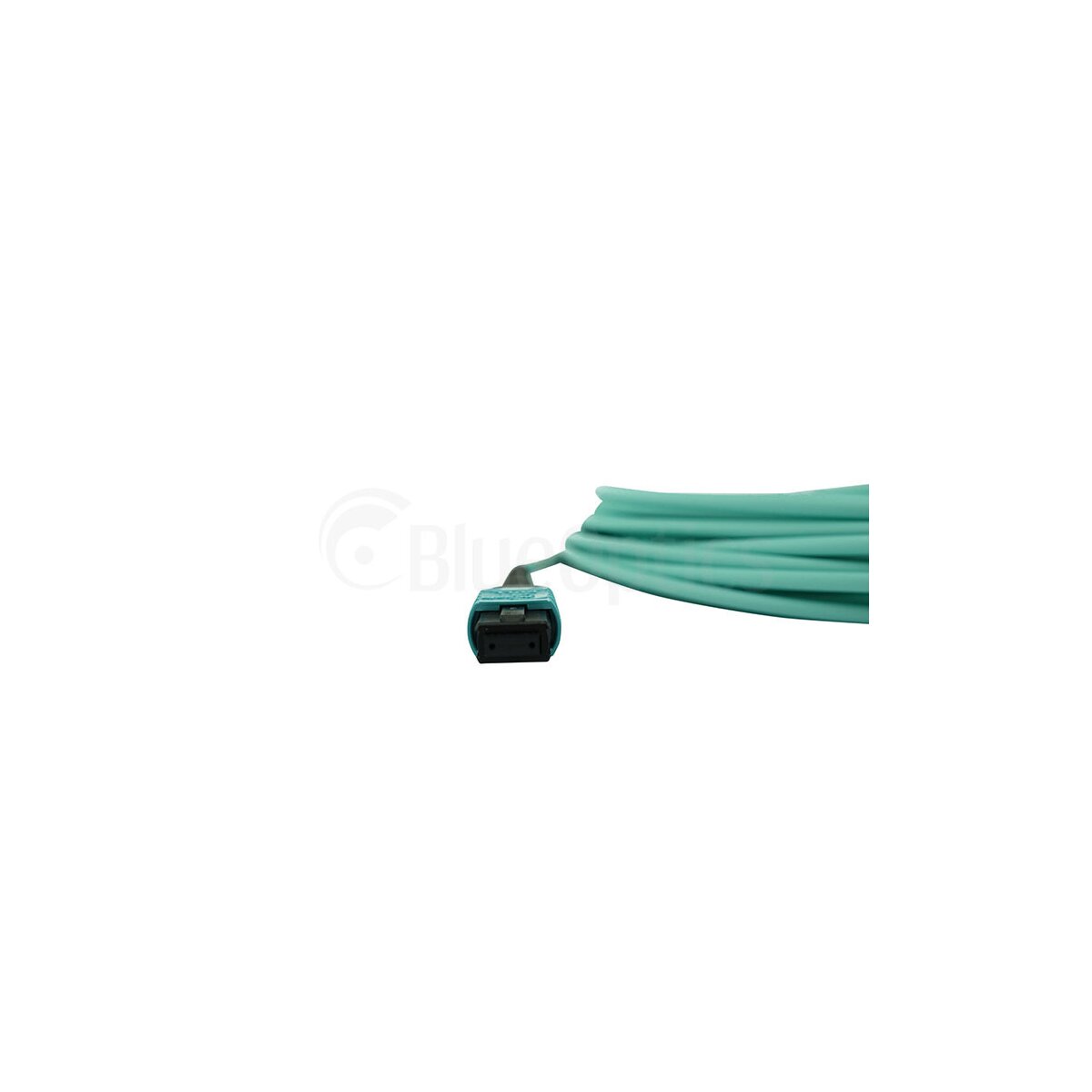 0c361ba41cdb6a6966d949eeac0f60a7