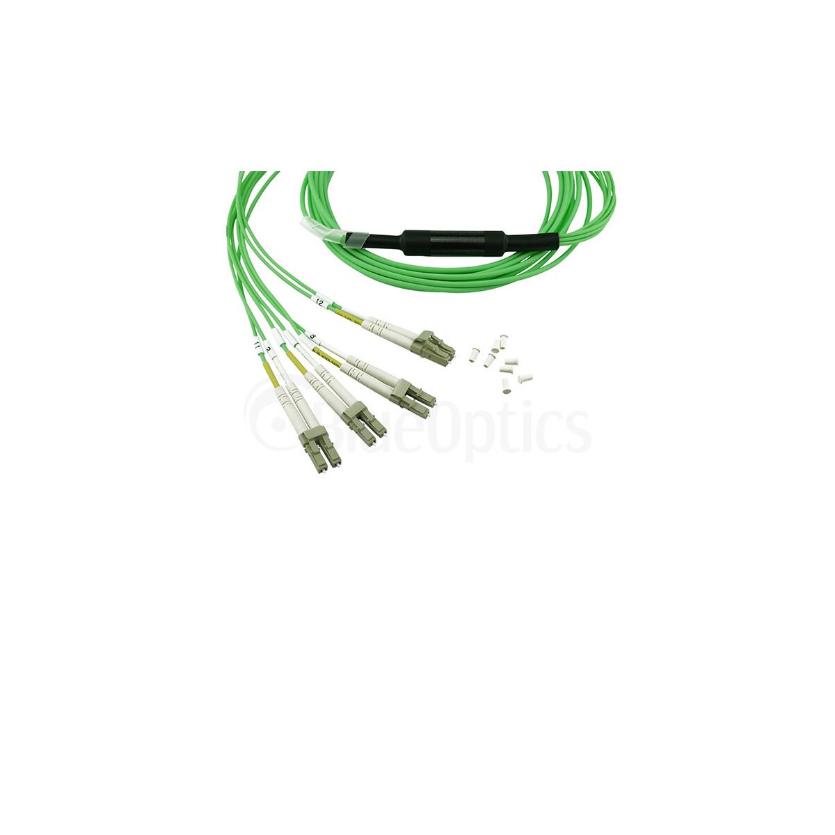 02d81fbe72fc1447e5f0ec772e26ea4c