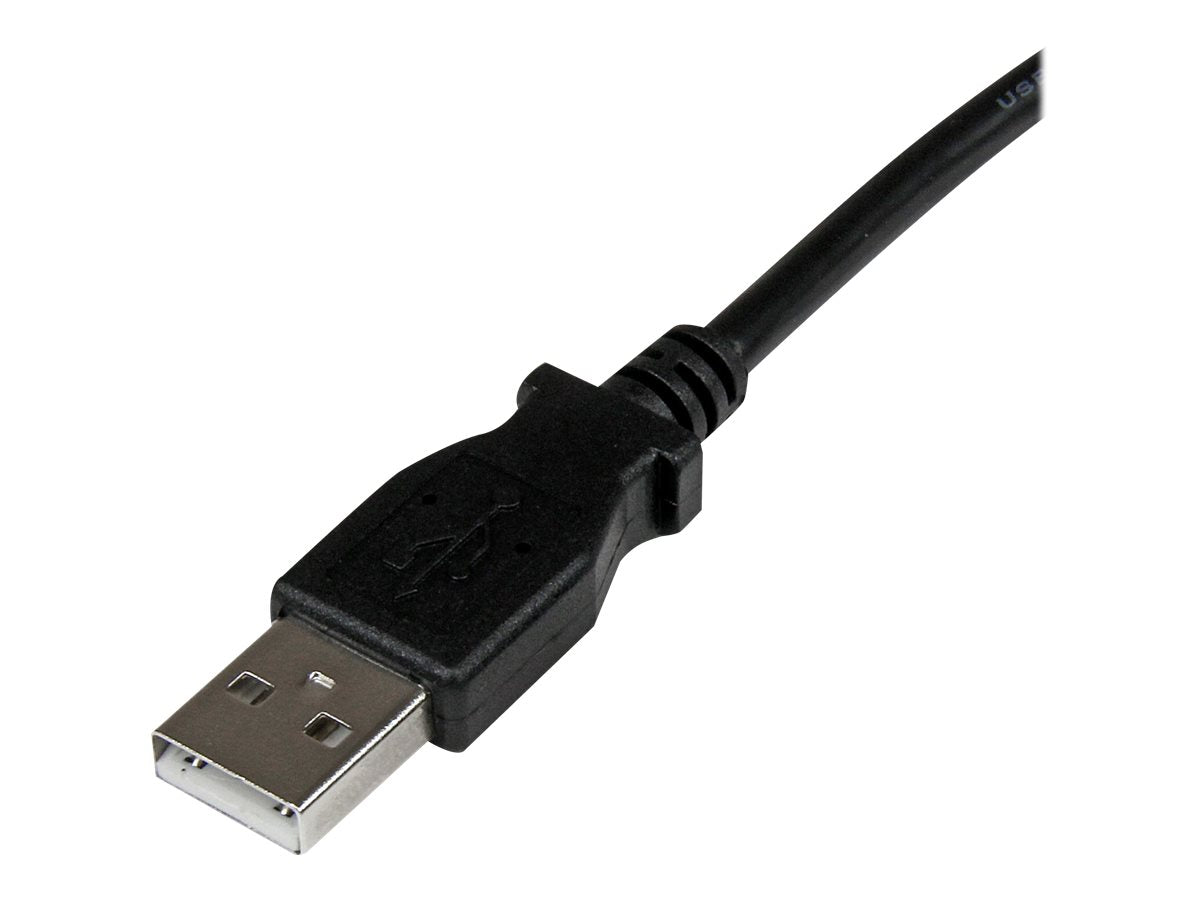 Image3