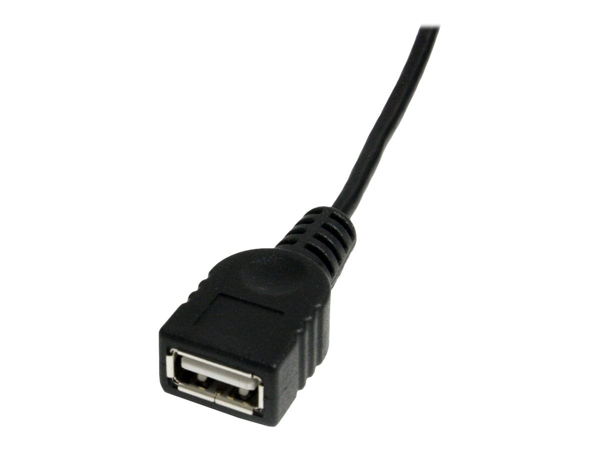 Image2