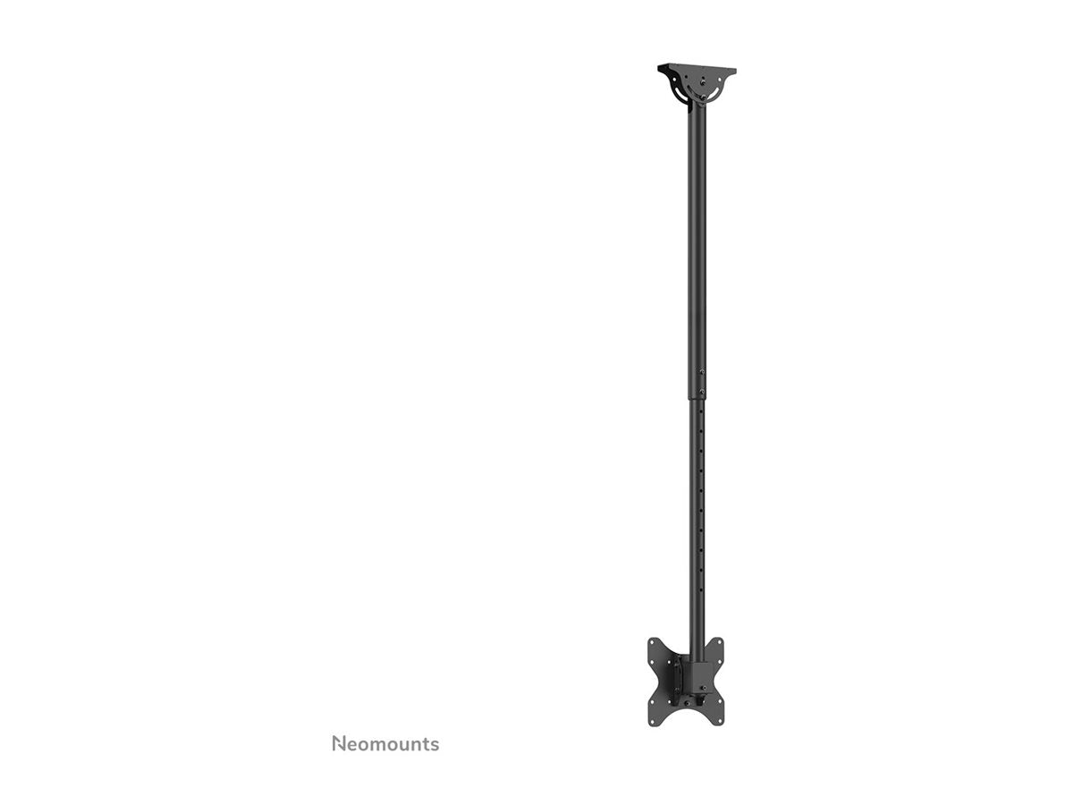 Image4