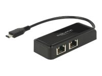 Delock Adapter USB-C 3.1 Gen 1 > 2 x Gigabit