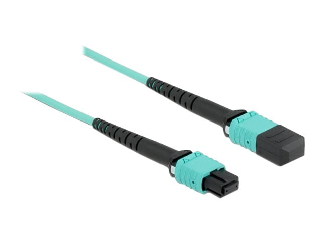 Image2