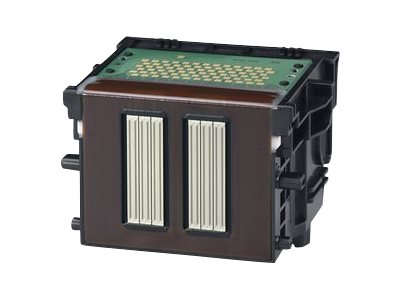 Image1