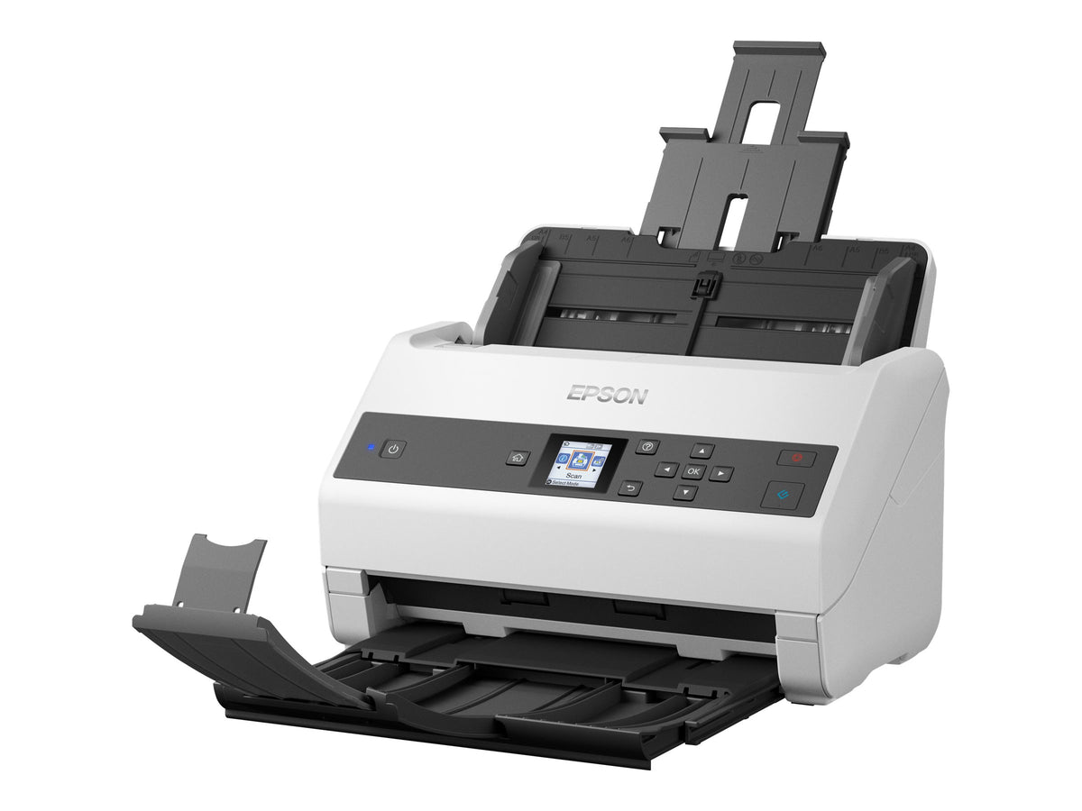 Image1
