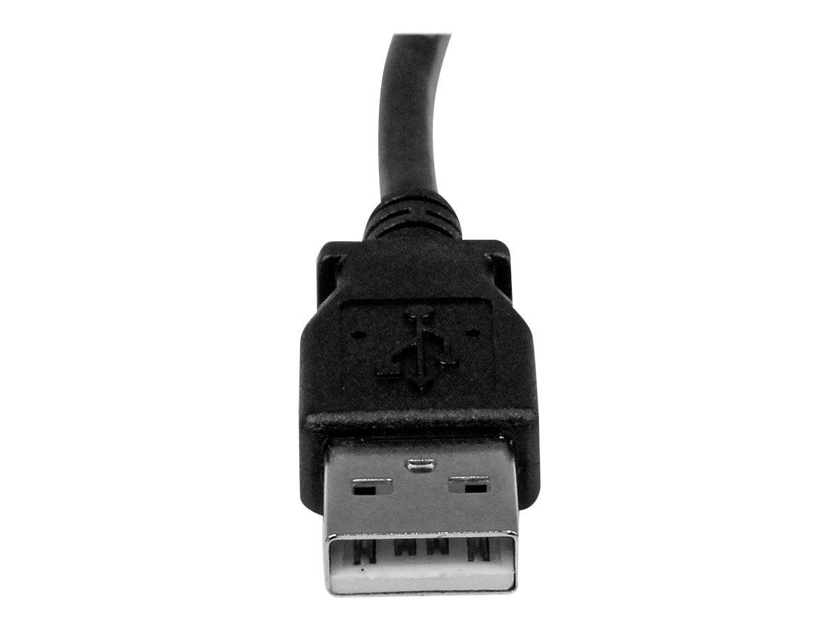 Image3