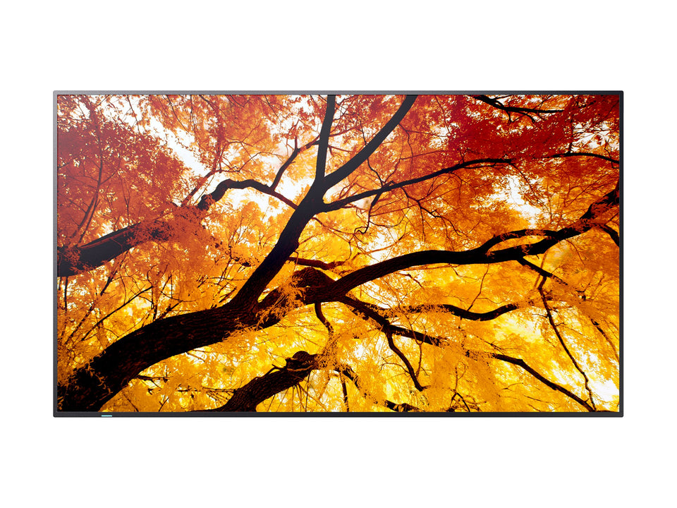 Sharp MultiSync M432 - 109 cm (43") Diagonalklasse (108 cm (42.5")