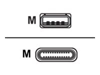 Cisco USB-Kabel - USB (M) zu USB-C (M) - 4