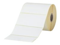 Image4