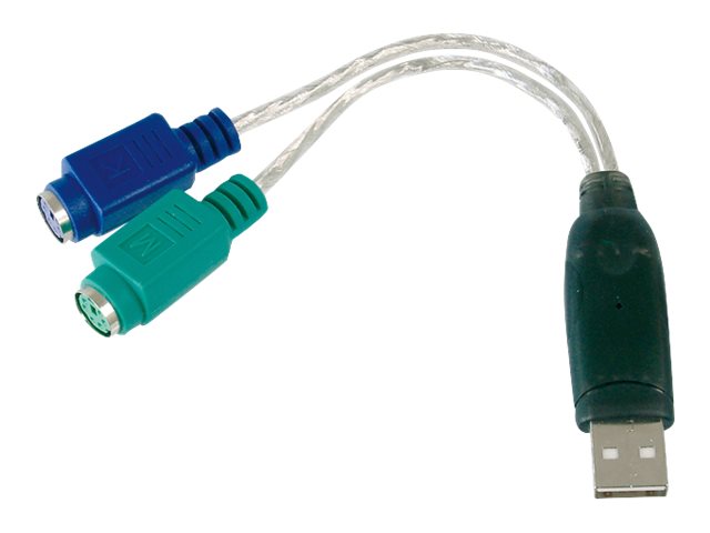 Image1