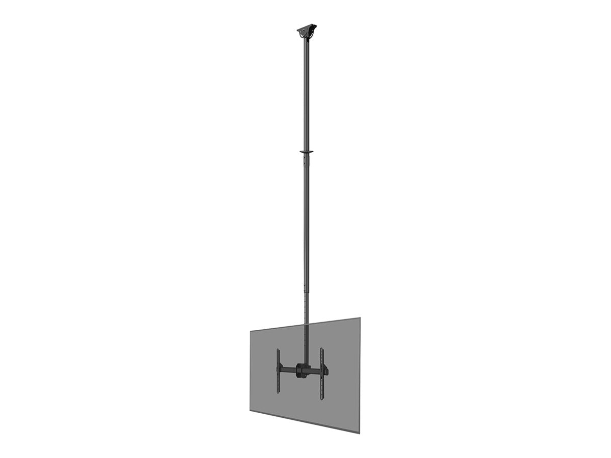 Image1