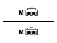Cisco Netzwerkkabel - RJ-45 (M) zu RJ-45 (M)
