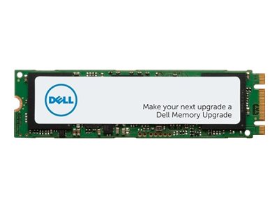 Dell  SSD - 256 GB - intern - M.2 2280 - SATA