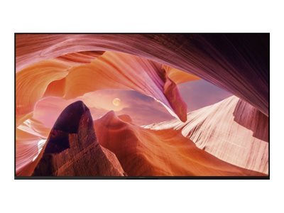 Sony Bravia Professional Displays FWD-65X80L - 164 cm (65")