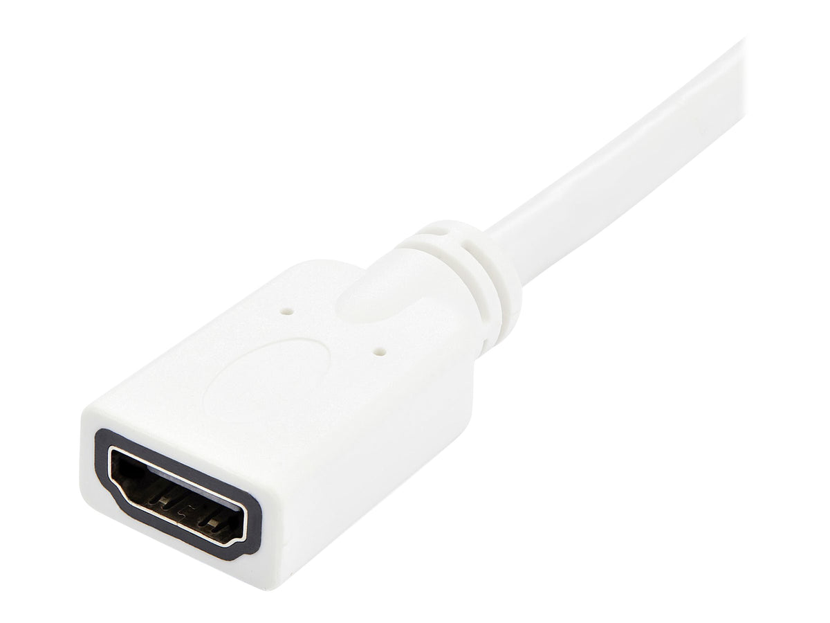 Image3