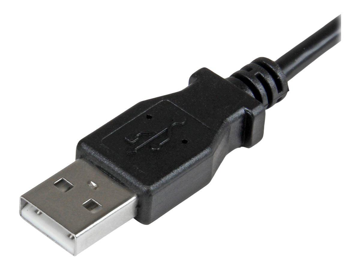 Image3