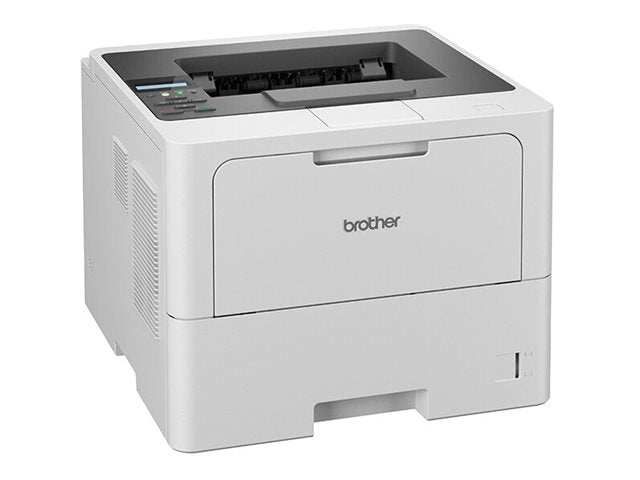 Image4