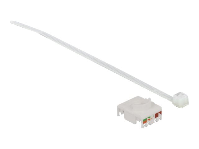 Image4