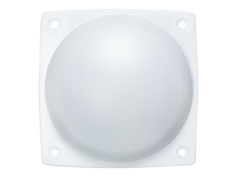 Image1
