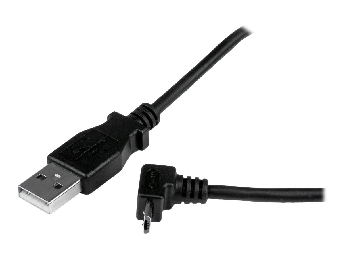 Image3