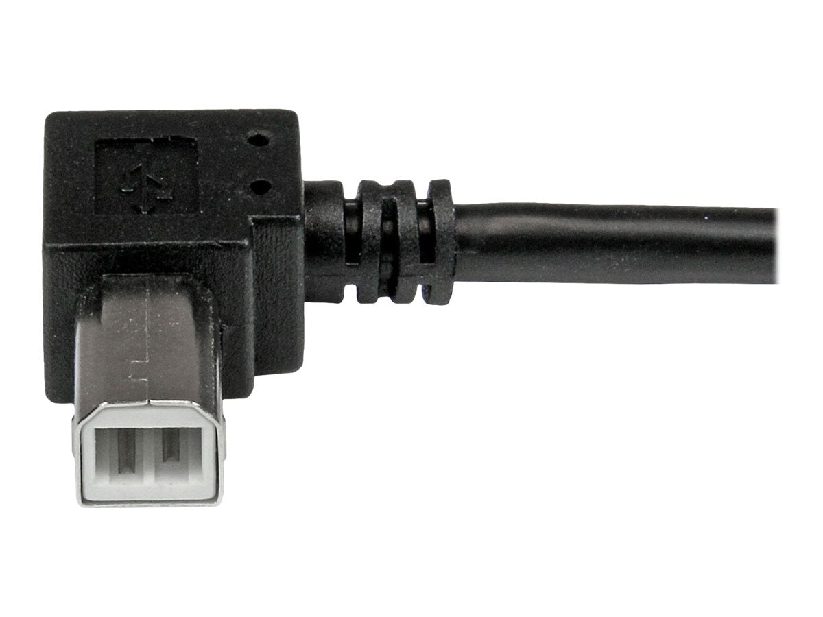 Image4