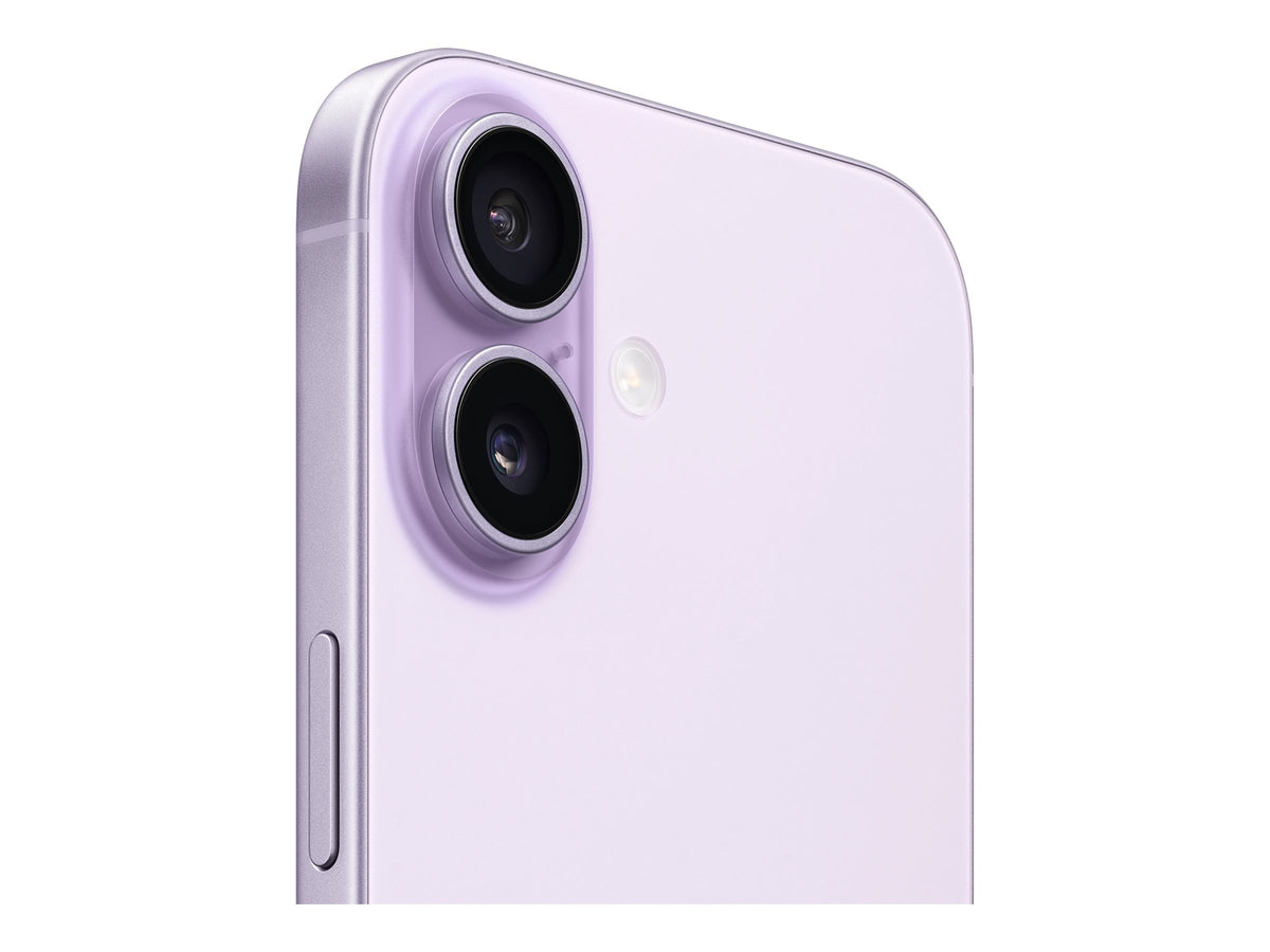 Image2
