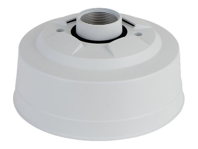 Image1