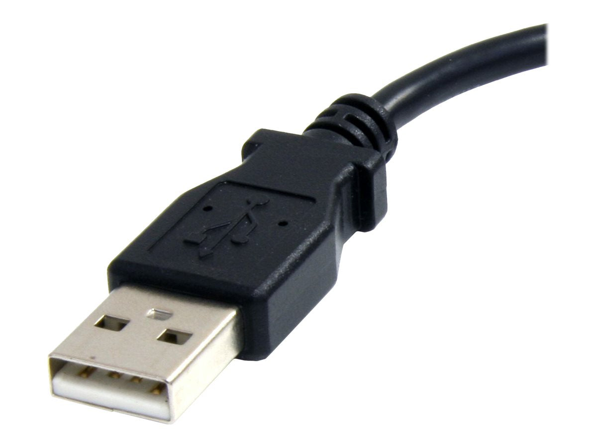 Image3