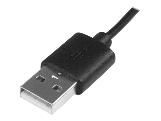 Image1