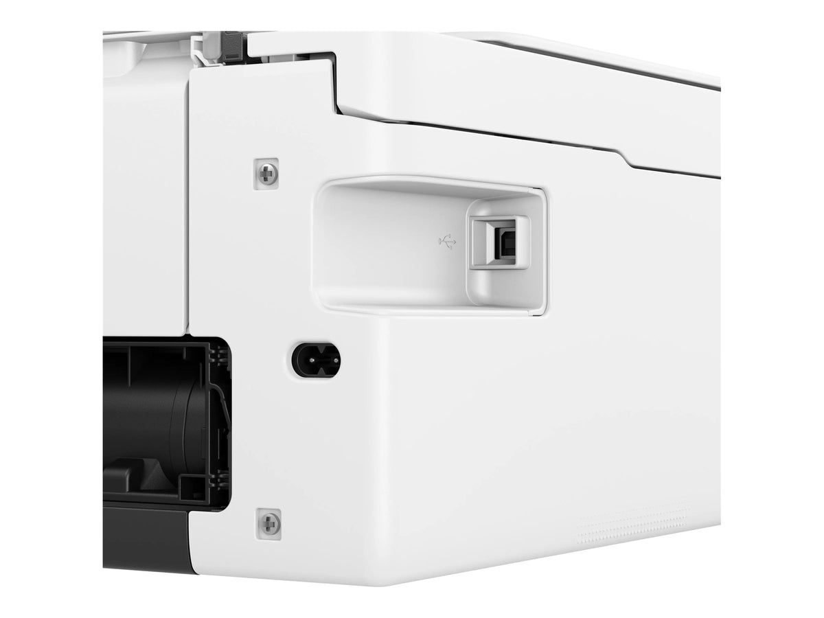 Image4