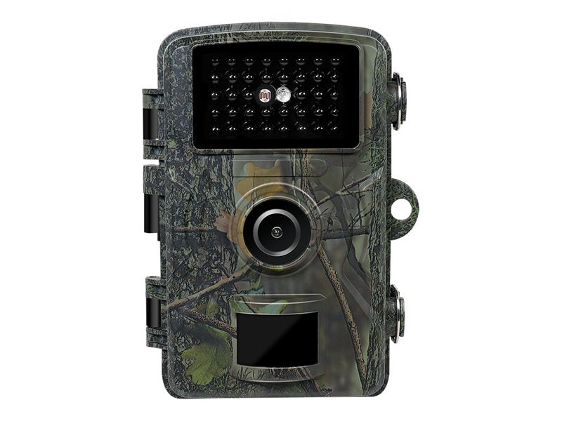 Image1