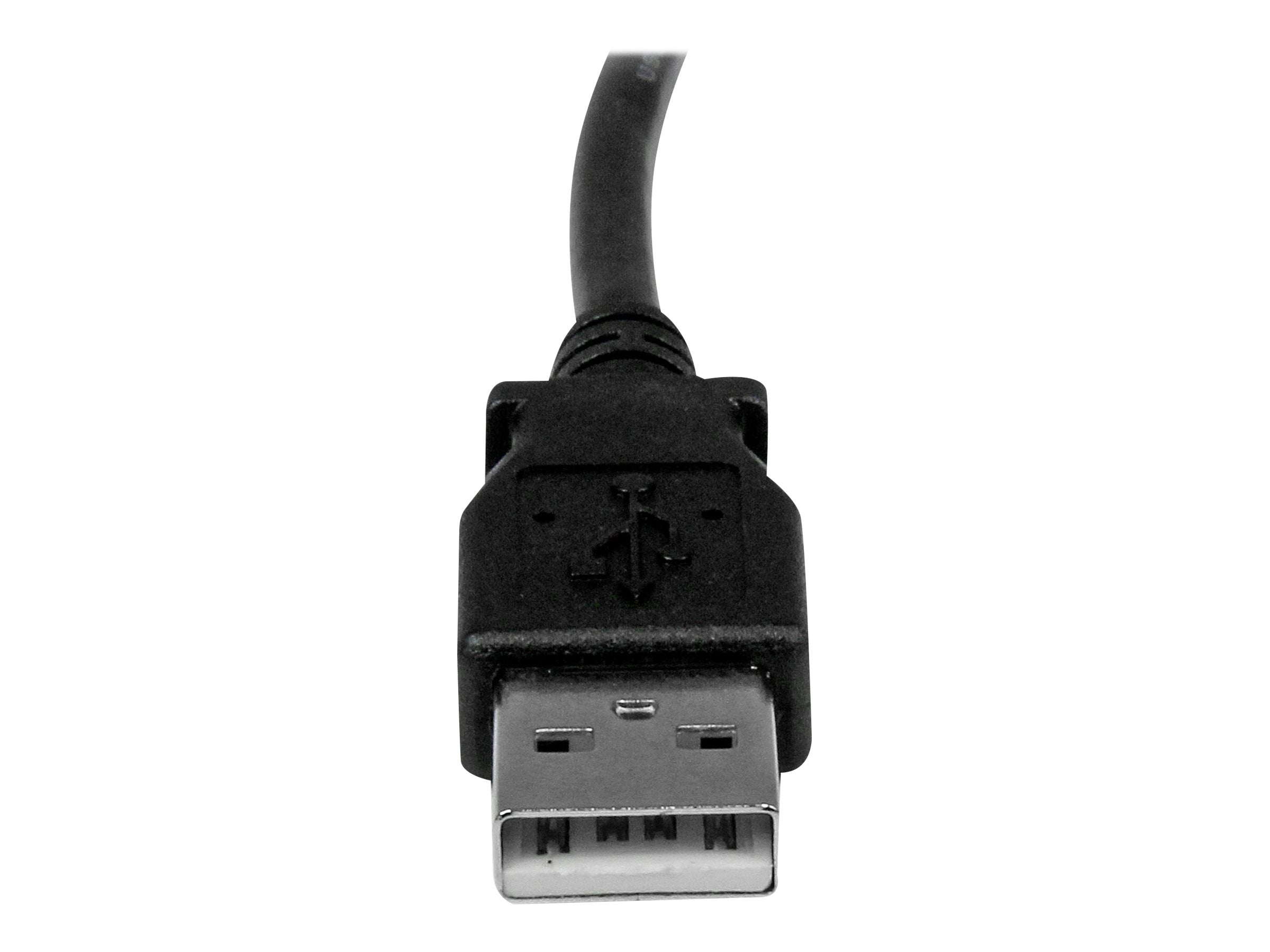 Image2