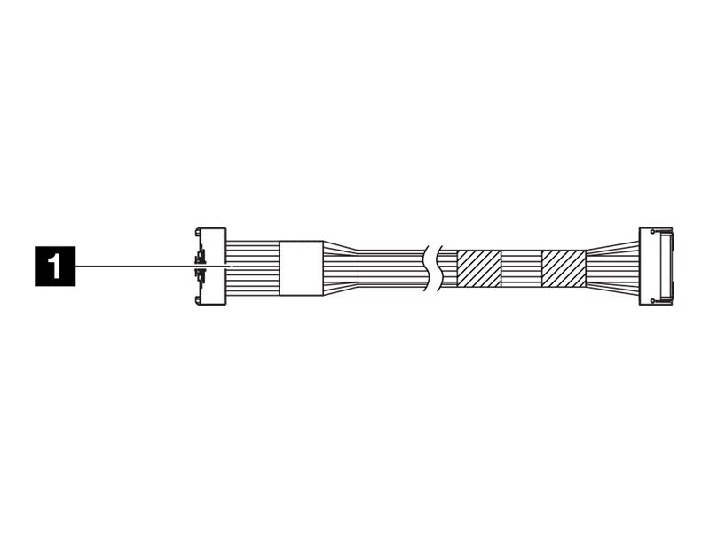 Lenovo NVMe-Kabel - 25 cm