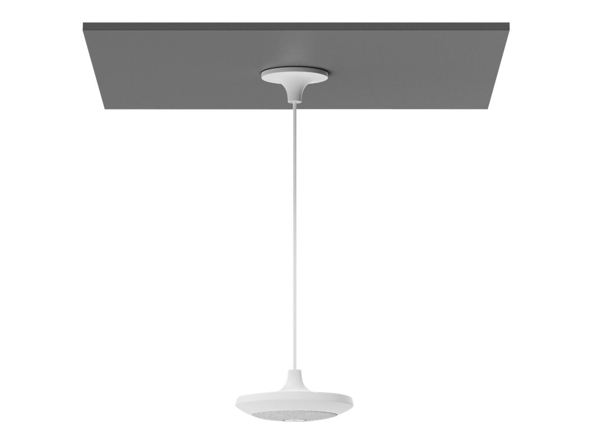 Image1
