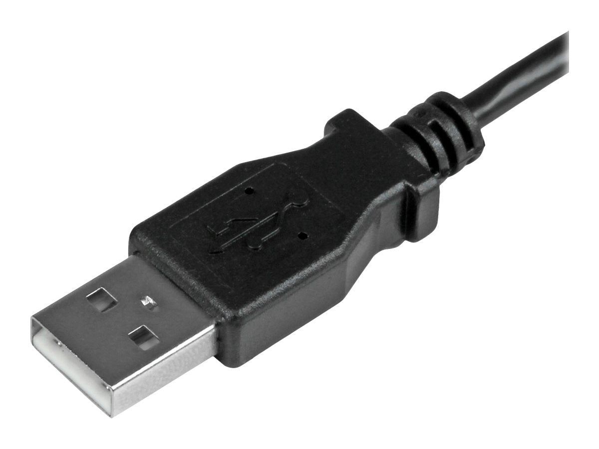 Image4