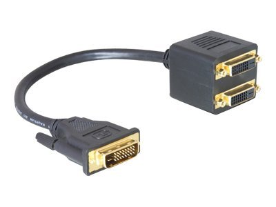 Image1
