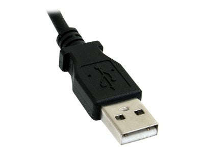 Image3