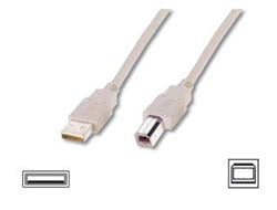 Image2