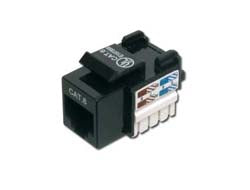 Image2