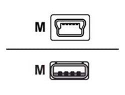 Image2